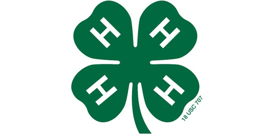 4-h-clover-small-scale